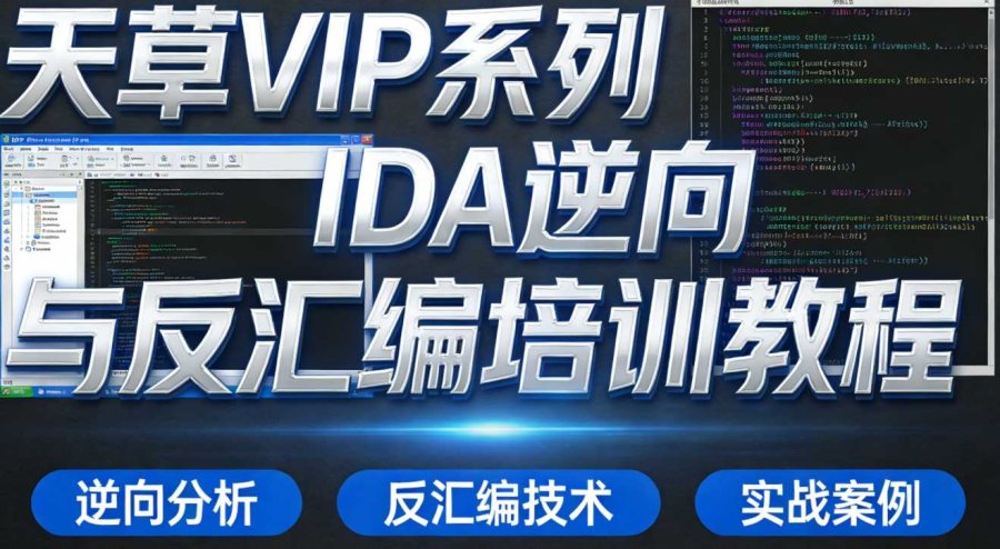 天草VIP系列IDA逆向与反汇编培训教程