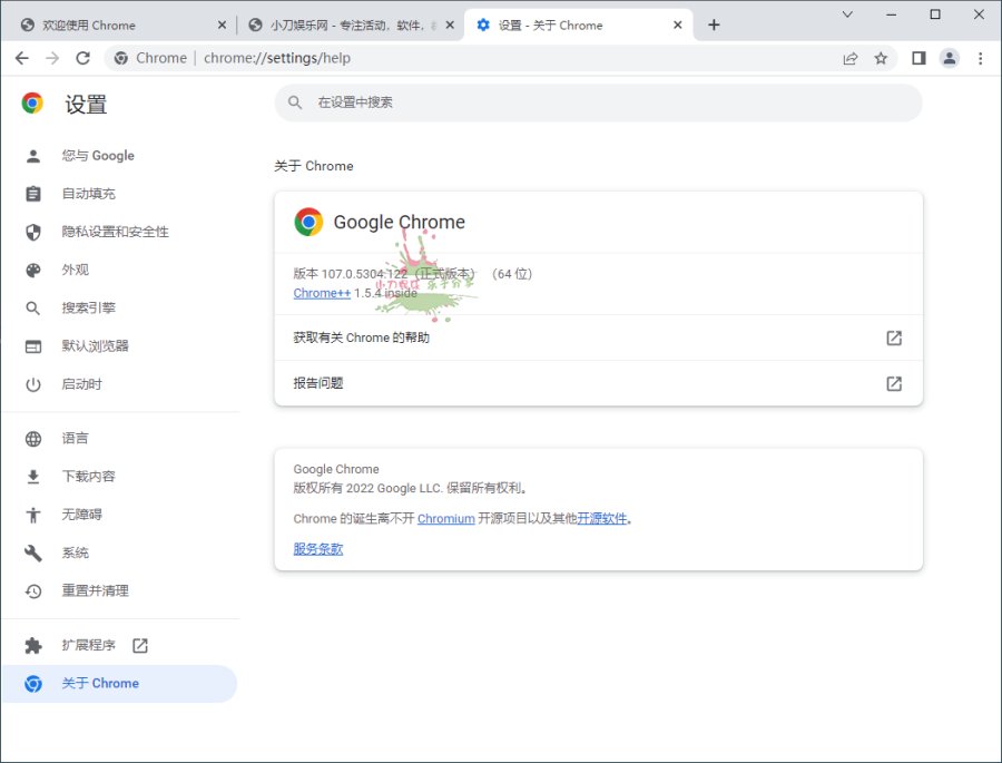 Google Chrome v145.0.7632.110绿色便携版